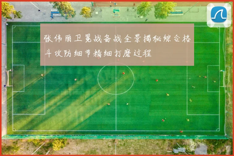 张伟丽卫冕战备战全景揭秘综合格斗攻防细节精细打磨过程